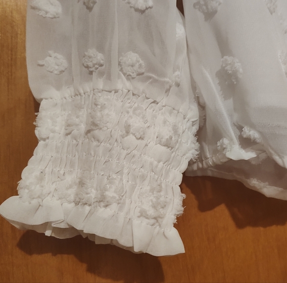 NWOT Belle Swiss Dot blouse - Picture 4 of 7